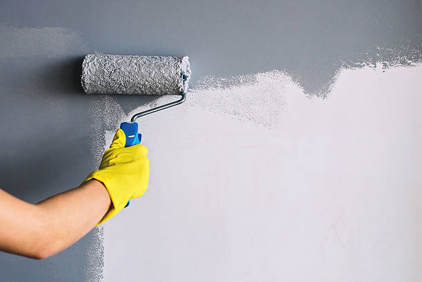 What is the average cost of hiring a professional painter for exterior projects in Overland Park?